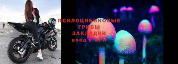 стафф Надым