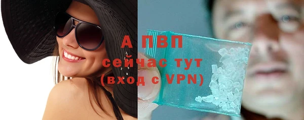 стафф Надым