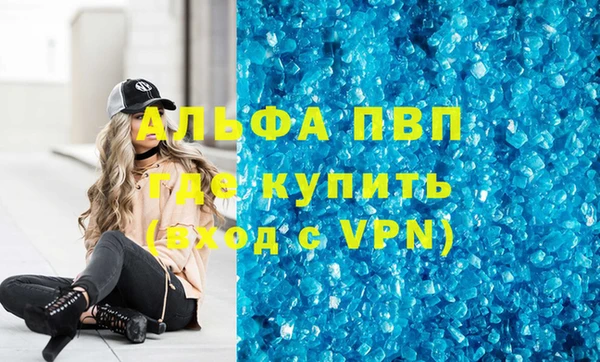 стафф Надым