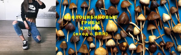 индика Навашино