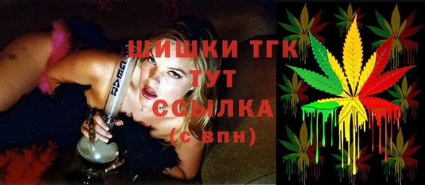индика Навашино