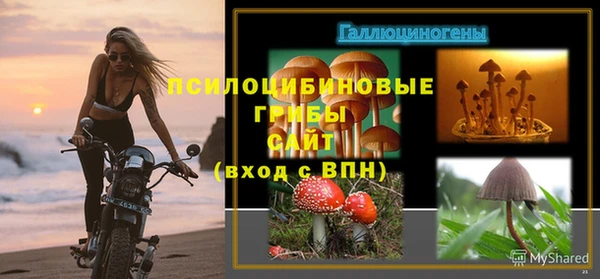 каннабис Абаза