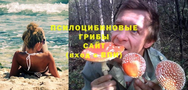 индика Навашино